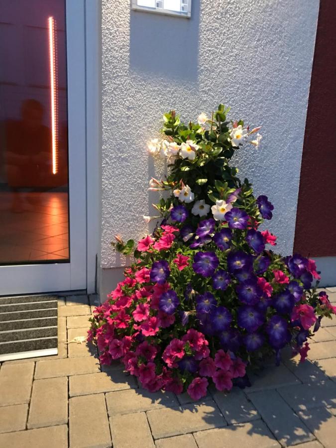 Ferienwohnungen Am Feldrain - Gornau Im Erzgebirge Zschopau Esterno foto