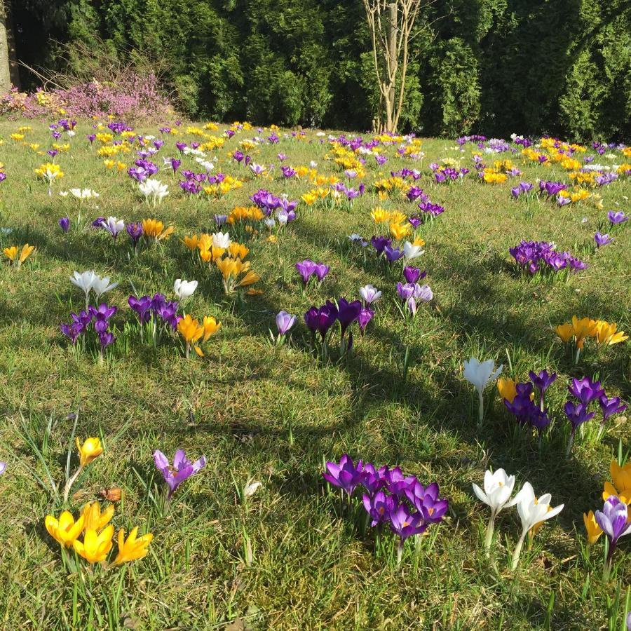 Ferienwohnungen Am Feldrain - Gornau Im Erzgebirge Zschopau Esterno foto